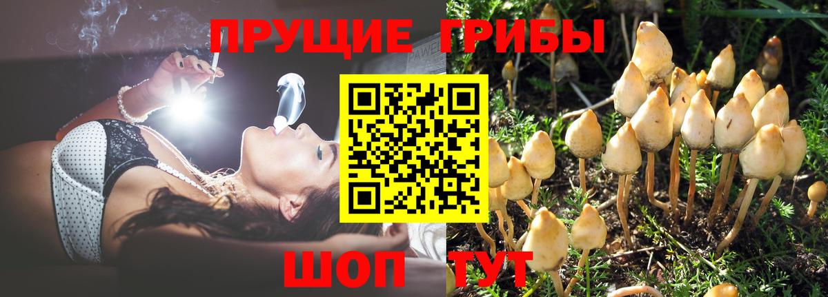 Псилоцибиновые грибы Magic Shrooms Орёл